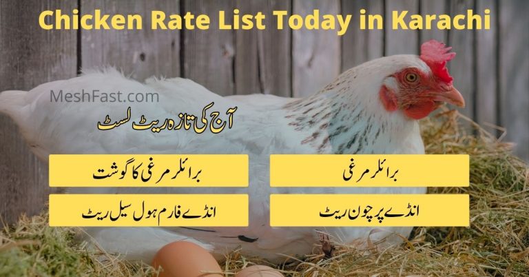 chicken-rate-list-today-in-karachi-2024