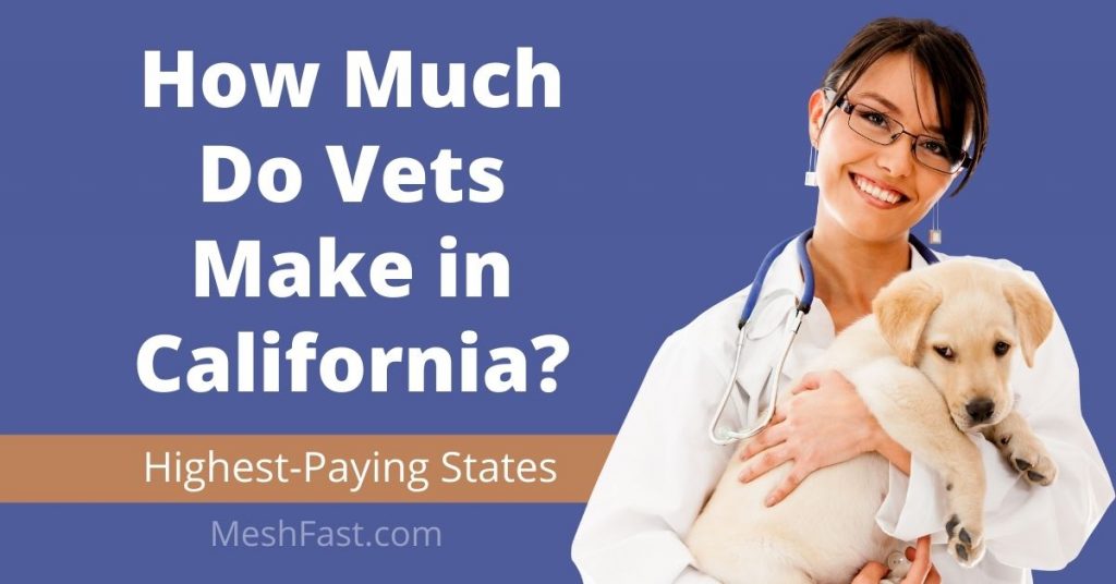 how-much-do-vets-make-in-california-highest-paying-states