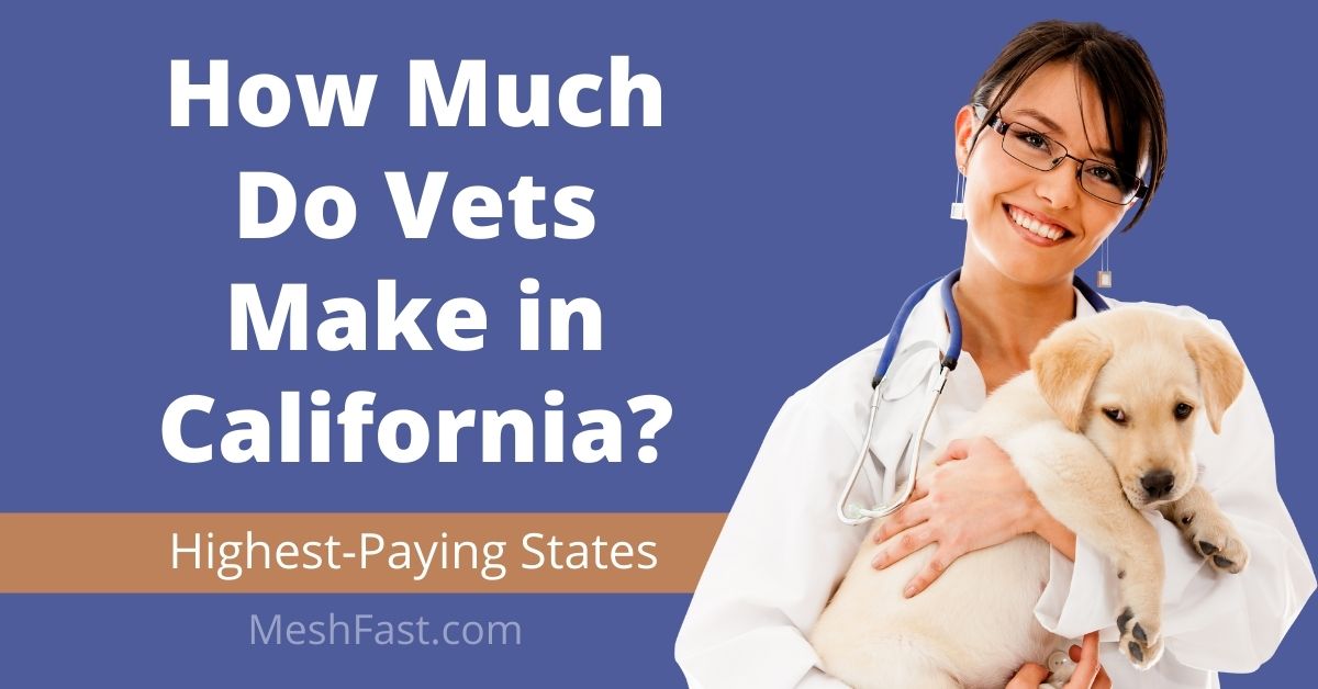 How Much Do Vets Make in California