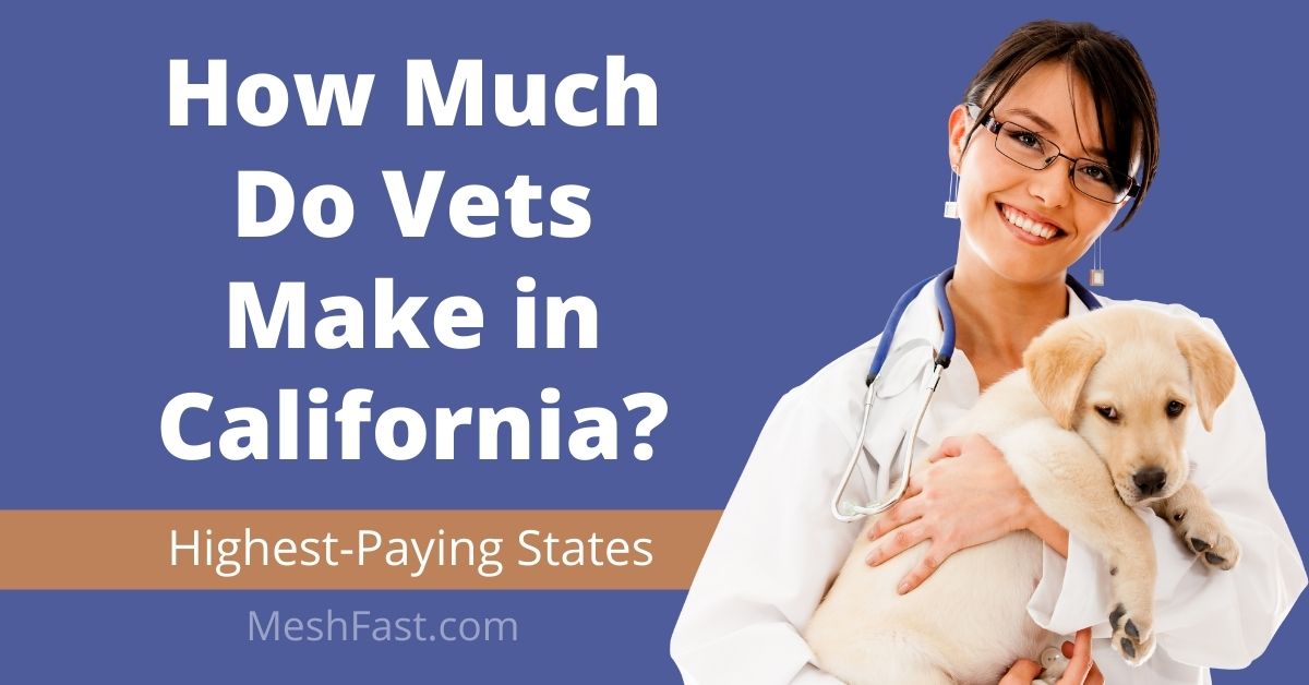 How Much Do Vets Make In Ca