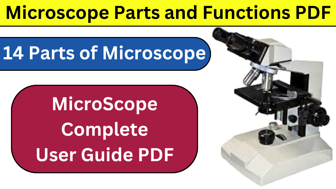 Microscope Parts and Functions PDF